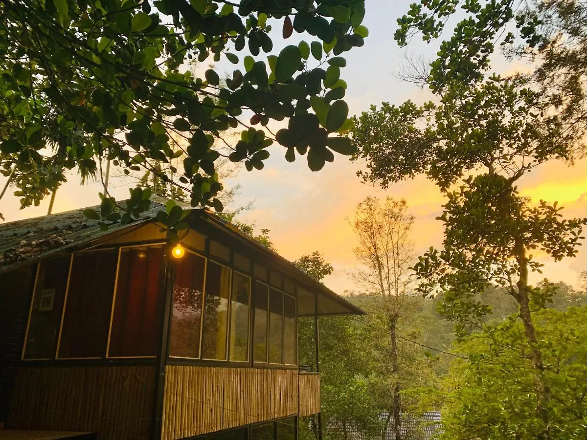 Kanthanpara Resorts Meppādi Indie