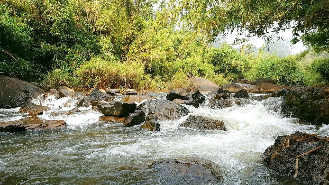 Kanthanpara Resorts Meppādi
