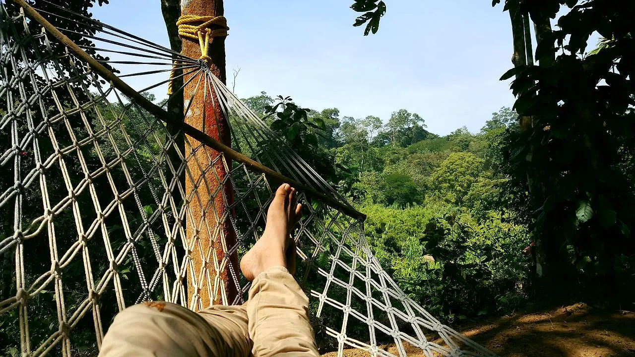 Kanthanpara Resorts Meppādi