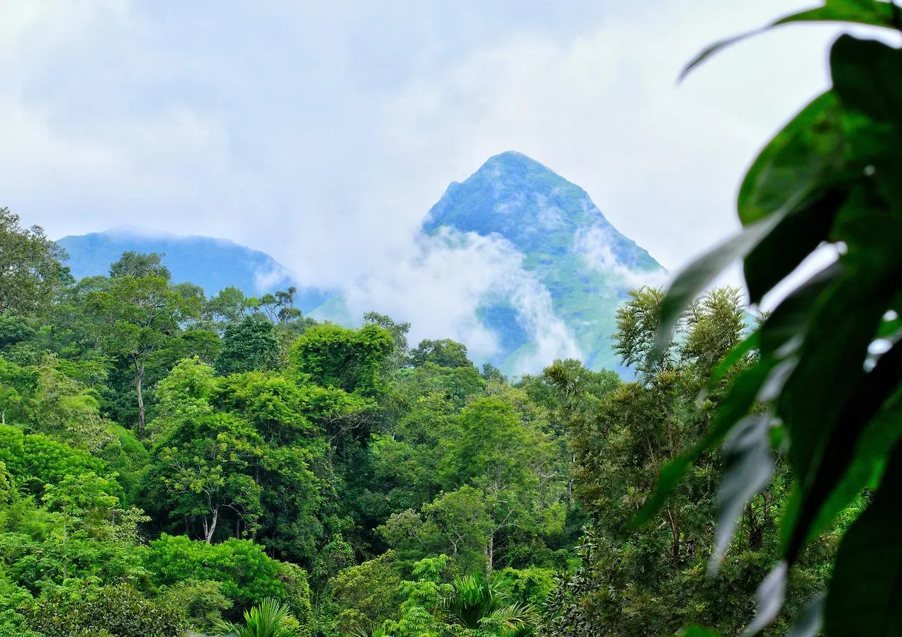 Kanthanpara Resorts Meppādi Indie